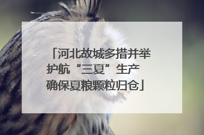 河北故城多措并举护航“三夏”生产 确保夏粮颗粒归仓