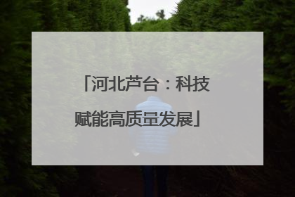 河北芦台：科技赋能高质量发展