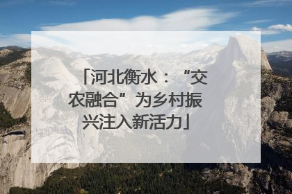 河北衡水：“交农融合”为乡村振兴注入新活力