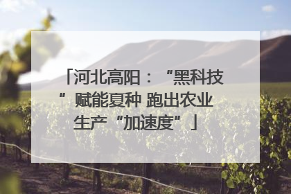 河北高阳：“黑科技”赋能夏种 跑出农业生产“加速度”