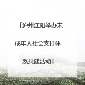 泸州江阳举办未成年人社会支持体系共建活动
