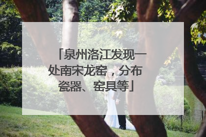 泉州洛江发现一处南宋龙窑，分布瓷器、窑具等