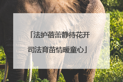 法护蓓蕾静待花开 司法育苗情暖童心