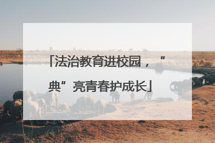 法治教育进校园，“典”亮青春护成长