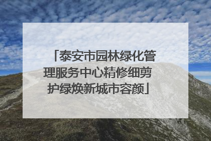 泰安市园林绿化管理服务中心精修细剪护绿焕新城市容颜