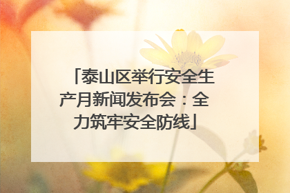 泰山区举行安全生产月新闻发布会：全力筑牢安全防线