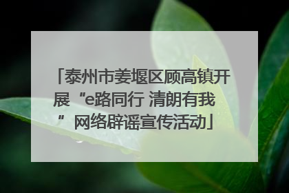 泰州市姜堰区顾高镇开展“e路同行 清朗有我”网络辟谣宣传活动