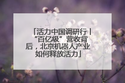 活力中国调研行丨 “百亿级”营收背后，北京机器人产业如何释放活力