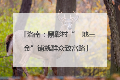 洛南：黑彰村“一地三金”铺就群众致富路