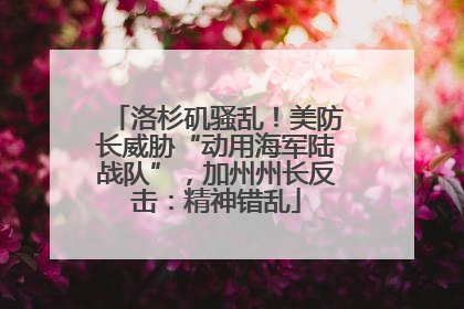 洛杉矶骚乱！美防长威胁“动用海军陆战队”，加州州长反击：精神错乱
