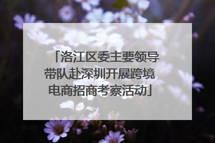 洛江区委主要领导带队赴深圳开展跨境电商招商考察活动