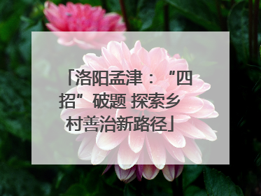 洛阳孟津：“四招”破题 探索乡村善治新路径
