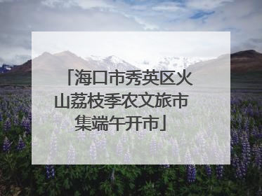 海口市秀英区火山荔枝季农文旅市集端午开市