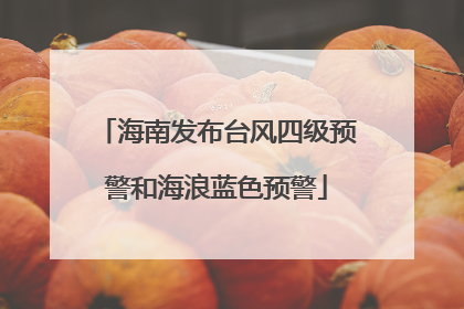 海南发布台风四级预警和海浪蓝色预警