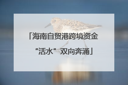 海南自贸港跨境资金“活水”双向奔涌