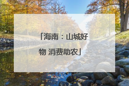 海南：山城好物 消费助农