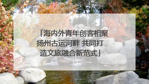 海内外青年创客相聚扬州古运河畔 共同打造文旅融合新范式