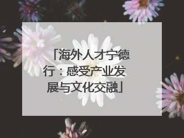 海外人才宁德行：感受产业发展与文化交融