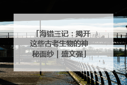 海错三记：揭开这些古老生物的神秘面纱｜盛文强