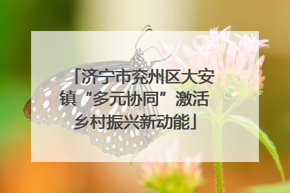 济宁市兖州区大安镇“多元协同”激活乡村振兴新动能