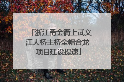 浙江甬金衢上武义江大桥主桥全幅合龙 项目建设提速