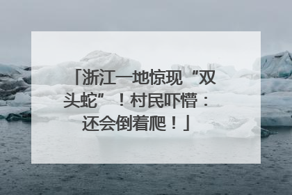 浙江一地惊现“双头蛇”！村民吓懵：还会倒着爬！