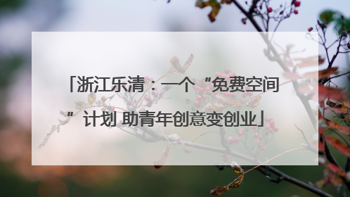 浙江乐清：一个“免费空间”计划 助青年创意变创业