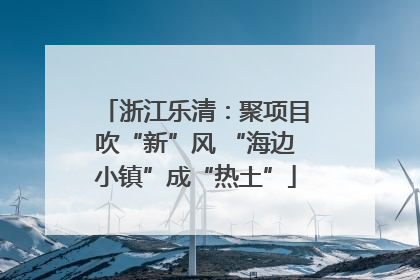 浙江乐清：聚项目吹“新”风 “海边小镇”成“热土”