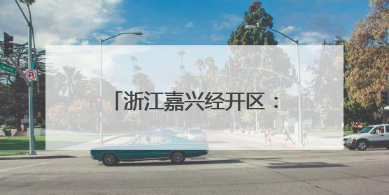 浙江嘉兴经开区：“统战+”为基层治理注入青春动力