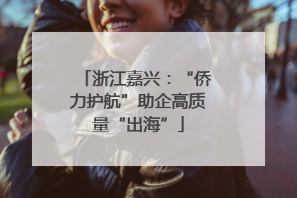 浙江嘉兴：“侨力护航”助企高质量“出海”