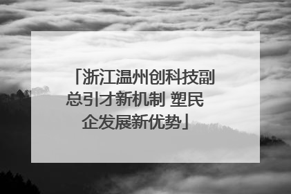 浙江温州创科技副总引才新机制 塑民企发展新优势