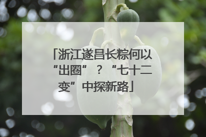 浙江遂昌长粽何以“出圈”？“七十二变”中探新路