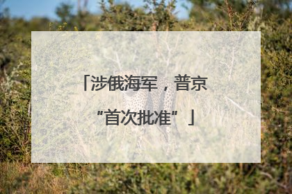 涉俄海军，普京“首次批准”