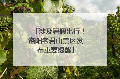 涉及暑假出行！洛阳老君山景区发布重要提醒