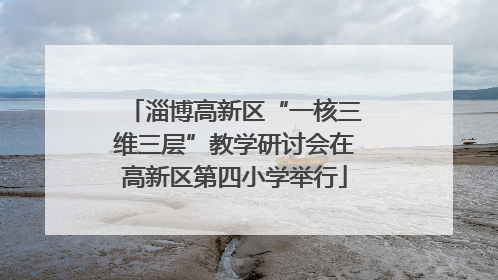 淄博高新区“一核三维三层”教学研讨会在高新区第四小学举行