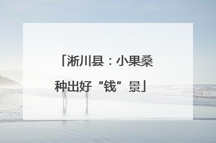 淅川县：小果桑种出好“钱”景