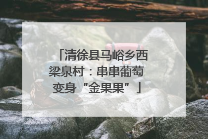 清徐县马峪乡西梁泉村：串串葡萄变身“金果果”
