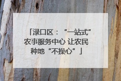 渌口区：“一站式”农事服务中心 让农民种地“不操心”