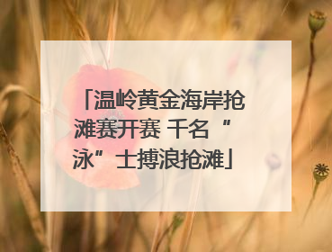温岭黄金海岸抢滩赛开赛 千名“泳”士搏浪抢滩