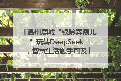 温州鹿城“银龄弄潮儿”玩转DeepSeek，智慧生活触手可及
