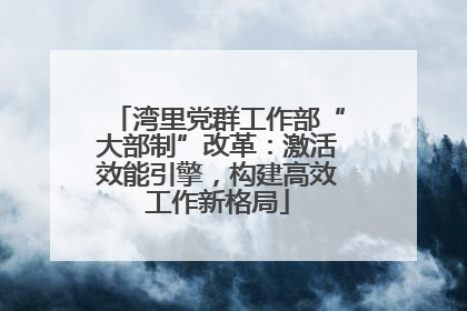 湾里党群工作部“大部制”改革：激活效能引擎，构建高效工作新格局