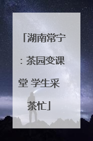 湖南常宁：茶园变课堂 学生采茶忙