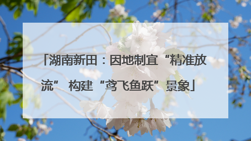 湖南新田：因地制宜“精准放流” 构建“鸢飞鱼跃”景象