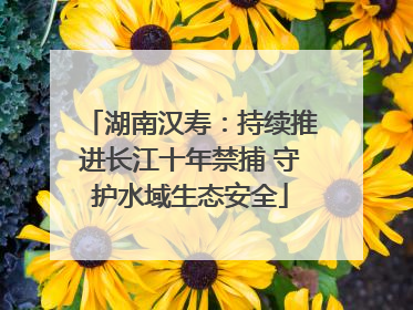 湖南汉寿：持续推进长江十年禁捕 守护水域生态安全