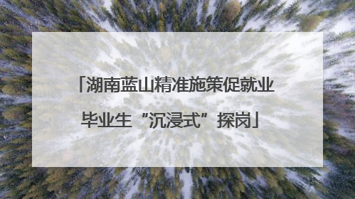 湖南蓝山精准施策促就业 毕业生“沉浸式”探岗