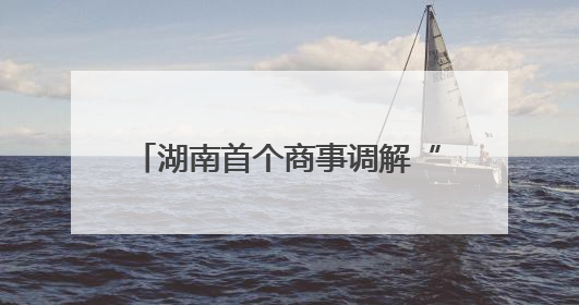 湖南首个商事调解“6.6 公益日”打造解纷“新范式”