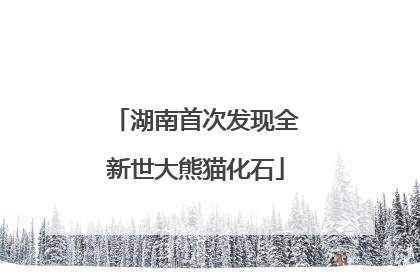 湖南首次发现全新世大熊猫化石