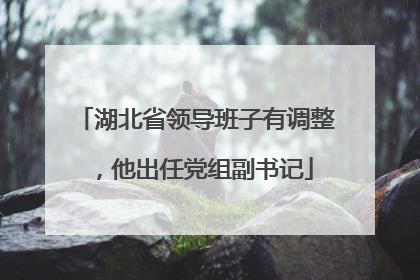 湖北省领导班子有调整，他出任党组副书记