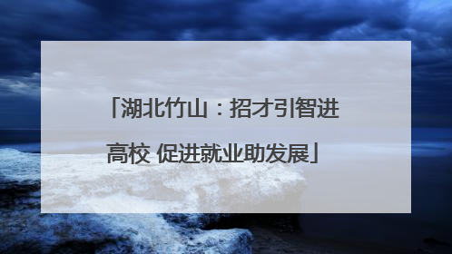 湖北竹山：招才引智进高校 促进就业助发展