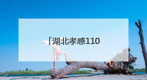湖北孝感110，在变与不变中守护“万家安宁”